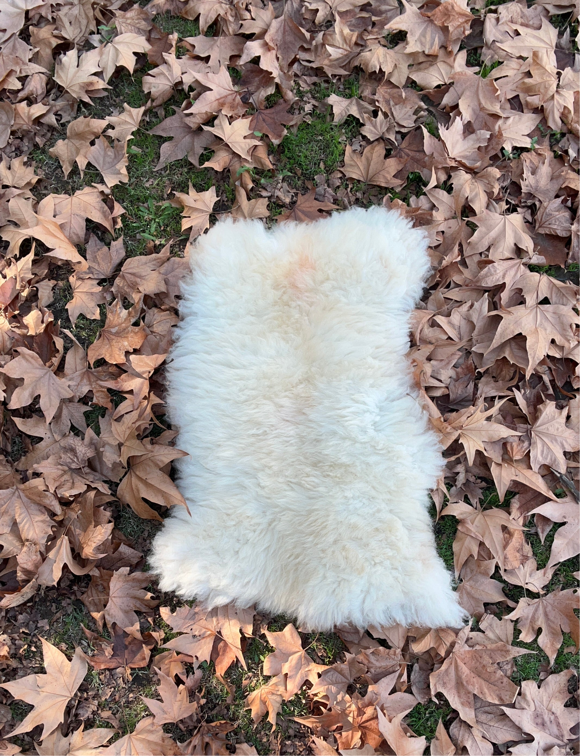 Smoked Tanned Hide 